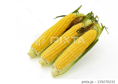 白バックのひげ付きとうもろこし 139270232
