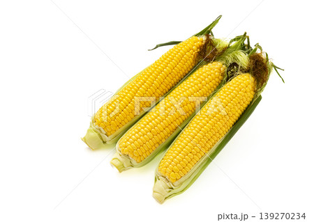 白バックのひげ付きとうもろこし 139270234