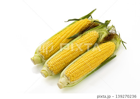 白バックのひげ付きとうもろこし 139270236