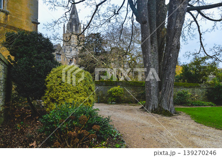Garden with tree and path Oxford England United Kingdom. Garden with tree and path Oxford England United Kingdom. 139270246