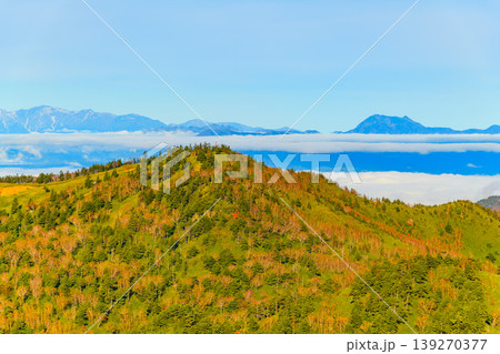 秋の志賀草津高原ルート 雲海に浮かぶ北アルプスと紅葉の山肌のパノラマ 139270377