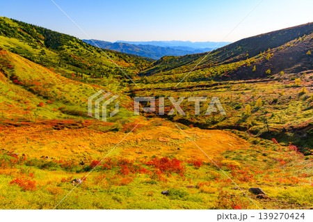 草津白根山の秋景 裾野に広がる草紅葉と遠方に日光連山を望む絶景 草津白根山の秋景 裾野に広がる草紅葉と遠方に日光連山を望む絶景 139270424