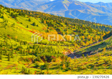 草津白根山の秋景 裾野に広がる草紅葉と遠方に日光連山を望む絶景 草津白根山の秋景 裾野に広がる草紅葉と遠方に日光連山を望む絶景 139270426