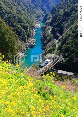 【徳島県】晴天の小歩危峡と特急南風（白川橋梁） 139270541