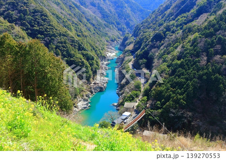 【徳島県】晴天の小歩危峡と菜の花(白川橋梁) 【徳島県】晴天の小歩危峡と菜の花(白川橋梁) 139270553