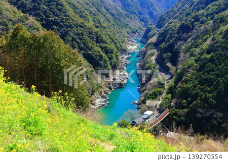 【徳島県】晴天の小歩危峡と菜の花(白川橋梁) 【徳島県】晴天の小歩危峡と菜の花(白川橋梁) 139270554