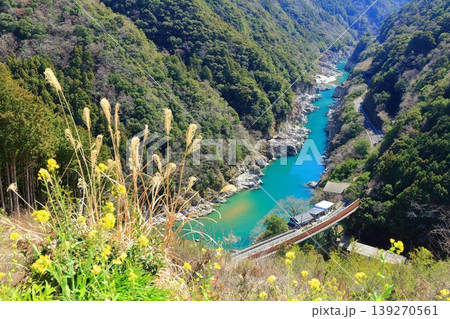 【徳島県】晴天の小歩危峡と菜の花(白川橋梁) 【徳島県】晴天の小歩危峡と菜の花(白川橋梁) 139270561