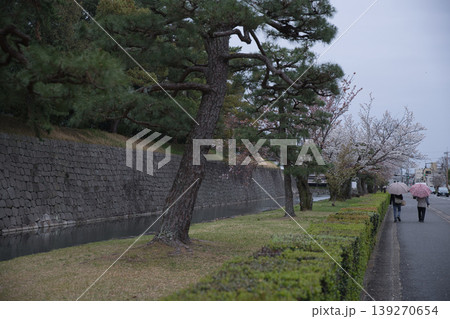 京の風景　二条城のお堀と美福通りの風景3 139270654