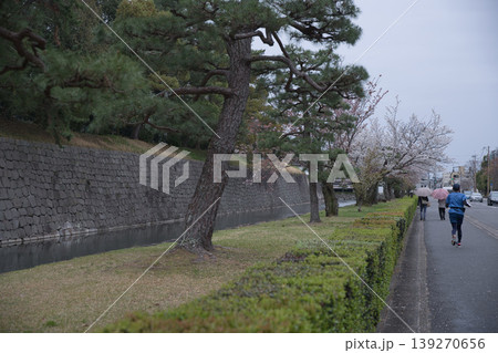 京の風景 二条城のお堀とランナーさん2 京の風景 二条城のお堀とランナーさん2 139270656