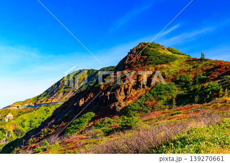秋の志賀草津高原ルート 分水嶺から見渡す紅葉の山肌と広大な山並みの絶景 秋の志賀草津高原ルート 分水嶺から見渡す紅葉の山肌と広大な山並みの絶景 139270661