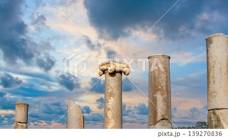 A row of ancient Ionic columns lining the colonnaded street at Patara archaeological site, Antalya, Turkey 139270836