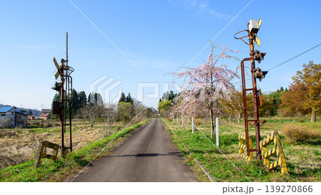 旧国鉄日中線 熱塩駅踏切と軌道跡添いに植えられた桜 福島県 旧国鉄日中線 熱塩駅踏切と軌道跡添いに植えられた桜 福島県 139270866