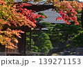 由志園　紅葉　島根　秋 139271153