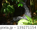 由志園　水　島根 139271154