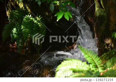 由志園　水　島根 139271154