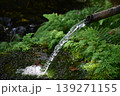 由志園　水　島根 139271155