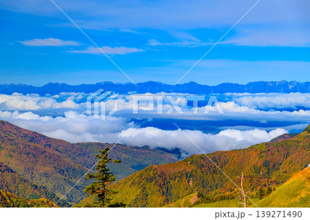 横手山付近からの絶景 雲海に浮かぶ北アルプスと色鮮やかな紅葉の山肌 横手山付近からの絶景 雲海に浮かぶ北アルプスと色鮮やかな紅葉の山肌 139271490