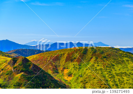 横手山付近からの絶景 雲海に浮かぶ北アルプスと色鮮やかな紅葉の山肌 139271493