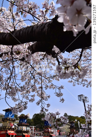 日本の愛知県の犬山市 春の犬山祭りと満開の桜 犬山城前広場に集まる車山 からくり人形を奉納する光景 日本の愛知県の犬山市 春の犬山祭りと満開の桜 犬山城前広場に集まる車山 からくり人形を奉納する光景 139271597