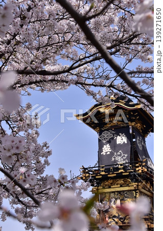 日本の愛知県の犬山市 春の犬山祭りと満開の桜 犬山城前広場に集まる車山 からくり人形の奉納前の光景 日本の愛知県の犬山市 春の犬山祭りと満開の桜 犬山城前広場に集まる車山 からくり人形の奉納前の光景 139271650