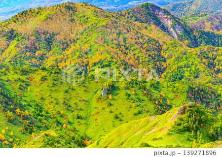 画面一杯に広がる秋の彩り 志賀高原・横手山の急斜面を埋め尽くす鮮やかな紅葉 画面一杯に広がる秋の彩り 志賀高原・横手山の急斜面を埋め尽くす鮮やかな紅葉 139271896