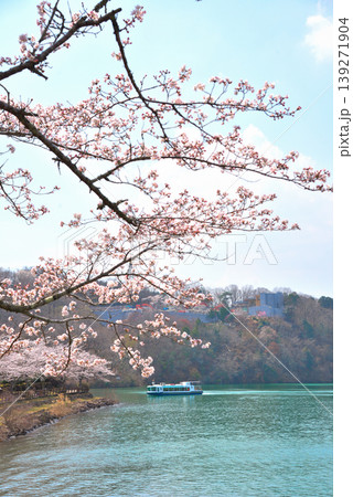 《岐阜県》満開の桜が咲く春の恵那峡 139271904