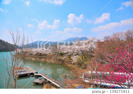 《岐阜県》満開の桜が咲く春の恵那峡 《岐阜県》満開の桜が咲く春の恵那峡 139271911
