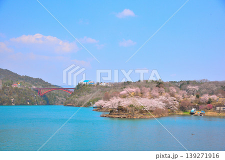 《岐阜県》満開の桜が咲く春の恵那峡 《岐阜県》満開の桜が咲く春の恵那峡 139271916