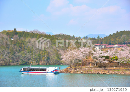 《岐阜県》満開の桜が咲く春の恵那峡 《岐阜県》満開の桜が咲く春の恵那峡 139271930