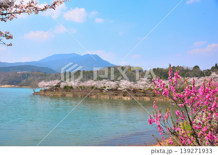 《岐阜県》満開の桜が咲く春の恵那峡 139271933