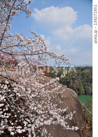 《岐阜県》春の恵那峡大橋展望台と満開の桜 139271951