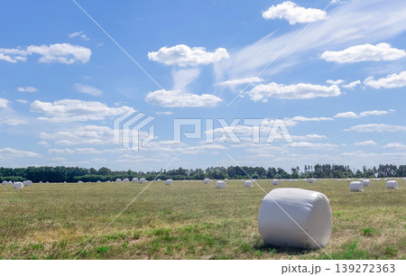 Field hay bales in agriculture farm rural harvest sky meadow landscape scene with wrapped rolls across summer countryside under blue clouds and open horizon. Field hay bales in agriculture farm rural harvest sky meadow landscape scene with wrapped rolls across summer countryside under blue clouds and open horizon. 139272363