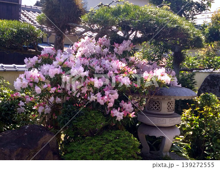 石灯籠とピンクの花が彩る和風庭園の春景色 石灯籠とピンクの花が彩る和風庭園の春景色 139272555