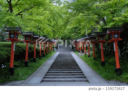 新緑の青もみじと朱色の灯籠が彩る京都の寺社参道・しっとりと落ち着いた和の風景 139272627