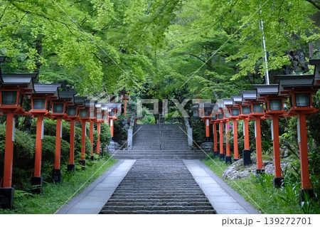 新緑の青もみじと朱色の灯籠が彩る京都の寺社参道・しっとりと落ち着いた和の風景 139272701