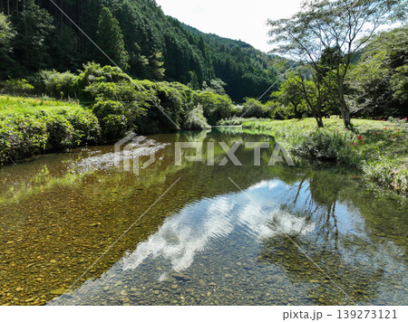 高知県中土佐町　四万十川の風景 139273121