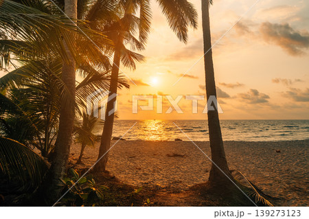 landscape of a tropical beach with rocky formations and clear water. 139273123