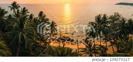 Aerial panorama of a stunning tropical bay and forested coastline at sunset. 139273127
