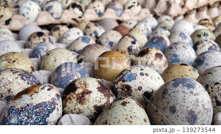 Quail Eggs in Tray with Natural Spot Pattern 139273544