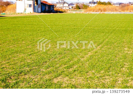 原っぱ 畑 休耕 休耕地 原っぱ 畑 休耕 休耕地 139273549