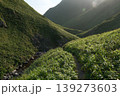 礼文島「ハイジの谷」・入り組んだ山肌の陰影と複雑なV字地形の景観 139273603