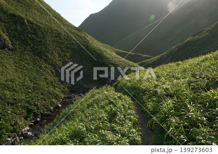礼文島「ハイジの谷」・入り組んだ山肌の陰影と複雑なV字地形の景観 139273603
