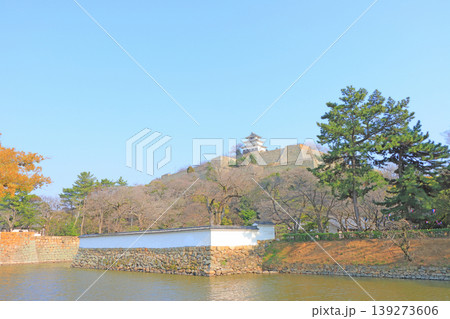 香川県丸亀市、丸亀城の風景 139273606