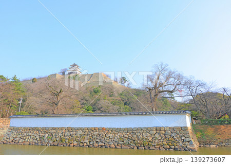 香川県丸亀市、丸亀城の風景 香川県丸亀市、丸亀城の風景 139273607