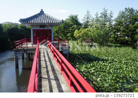 烏山の鴨池（高源院） 139273721