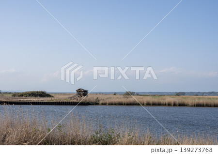 春の霞ヶ浦・妙岐ノ鼻の鳥類観察小屋と茅原の風景 春の霞ヶ浦・妙岐ノ鼻の鳥類観察小屋と茅原の風景 139273768