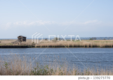 春の霞ヶ浦・妙岐ノ鼻の鳥類観察小屋と茅原の風景 139273770