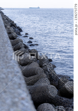 横浜・福浦岸壁の消波ブロックと貨物船が浮かぶ東京湾の風景 横浜・福浦岸壁の消波ブロックと貨物船が浮かぶ東京湾の風景 139273779