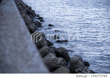 横浜・福浦岸壁の消波ブロック 横浜・福浦岸壁の消波ブロック 139273780