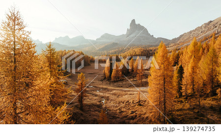 Bunch of trees with orange colored leaves. Croda da Lago mountain at background, majestic landscape at autumn time 139274735